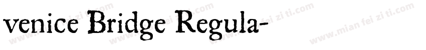 venice Bridge Regula字体转换